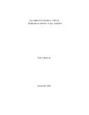 Colombia's paramilitaries