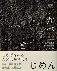 かべとじめん　愛蔵版