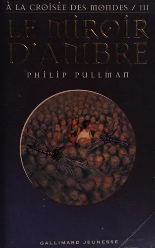 Le miroir d'ambre